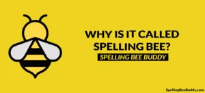 Why is it called spelling bee?